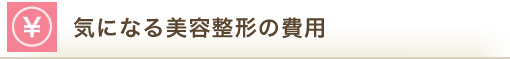 気になる美容整形の費用